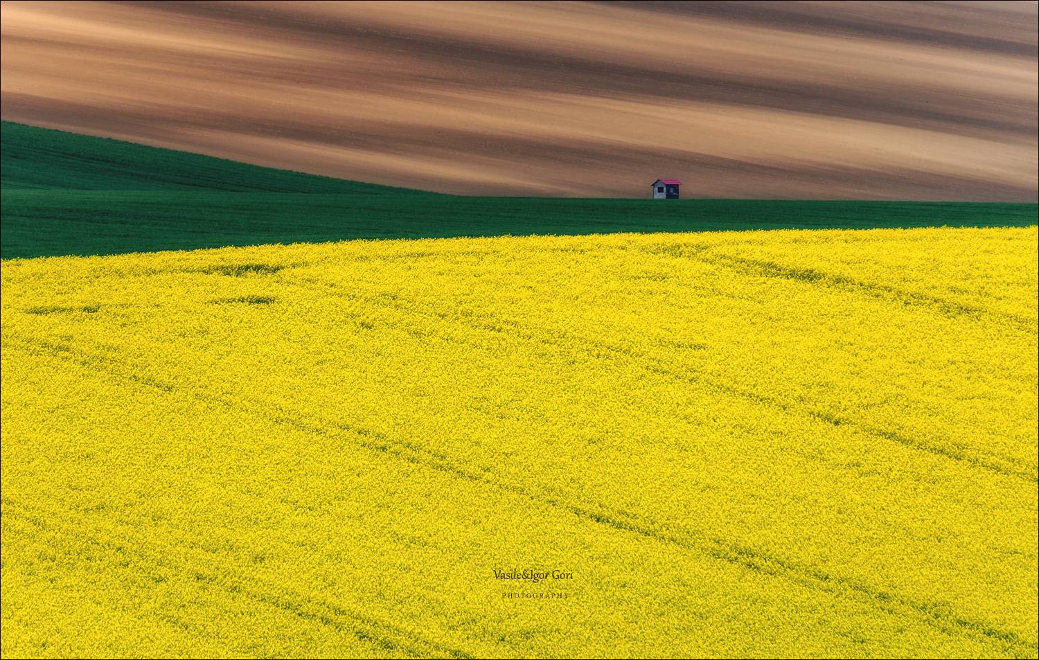 южная моравия,пейзаж,hils,линии,south moravian,lines,свет,czec,hвесна,чехия,landscapes,рапс, Василий Гори