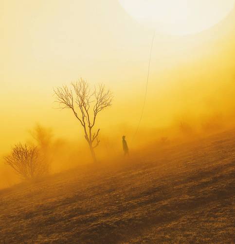 Ловец солнца