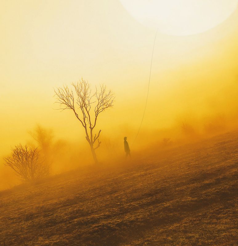 солнце,девушка,арт Ловец солнца фото превью