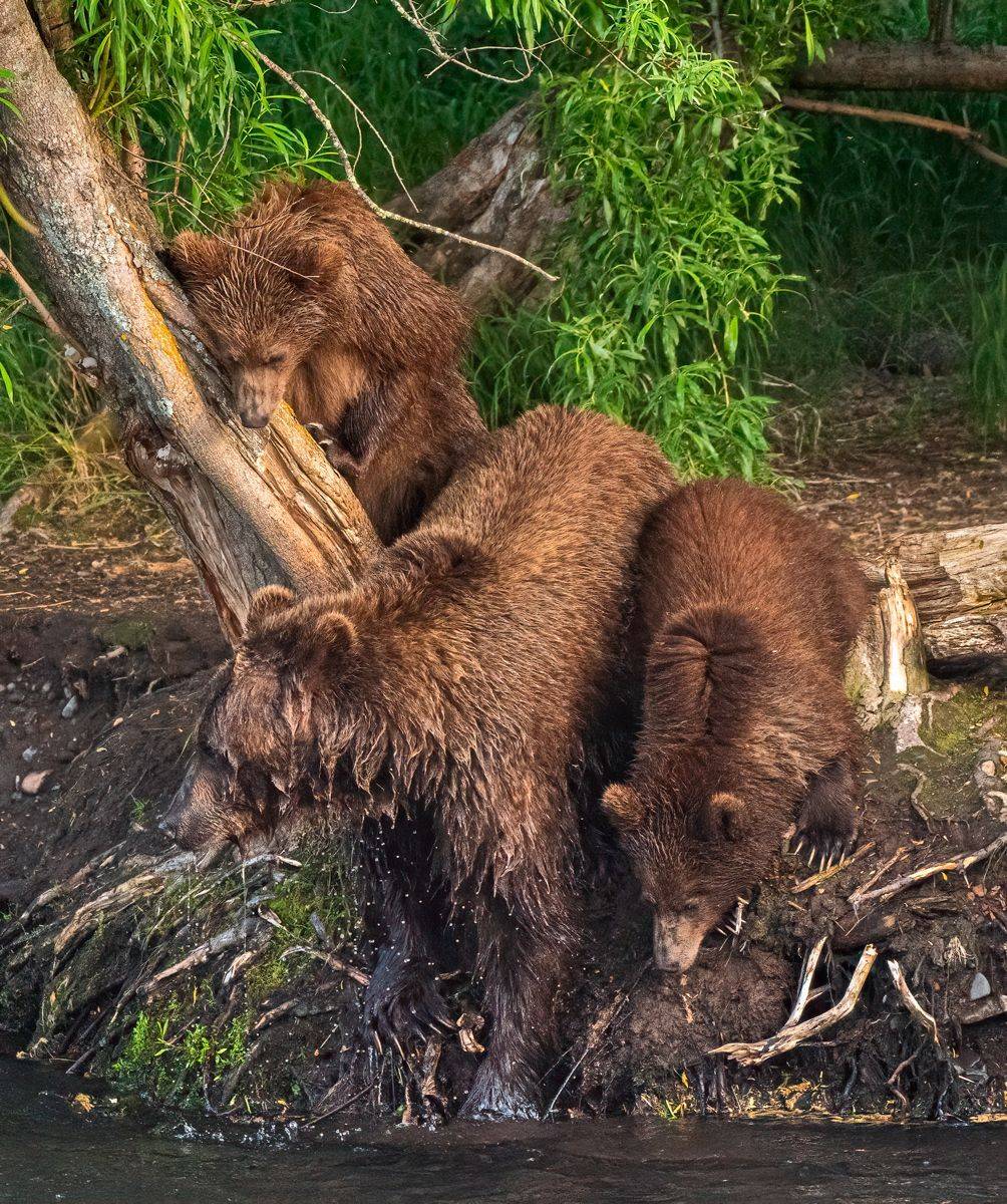 , Юрий Гордонов