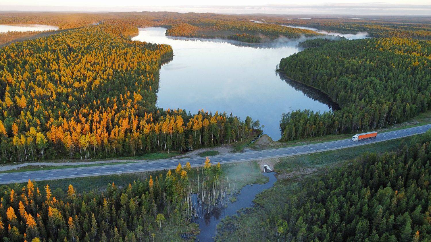 лес, озёра, реки, дорога, трасса, туман, утро, Алёна Салтыкова