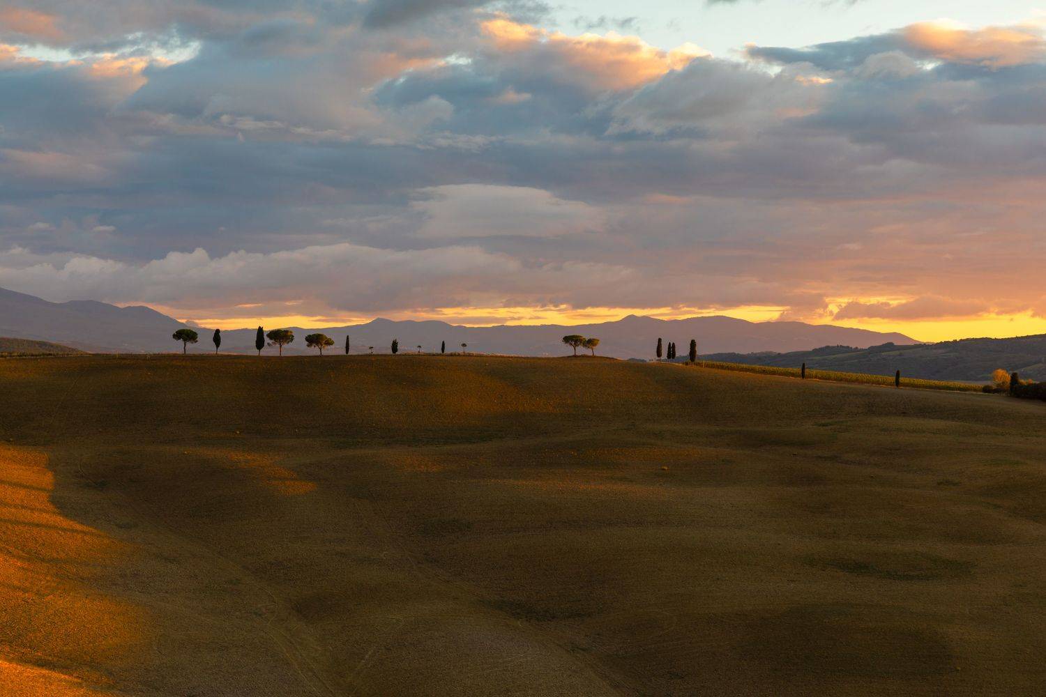 , Евгения Чех