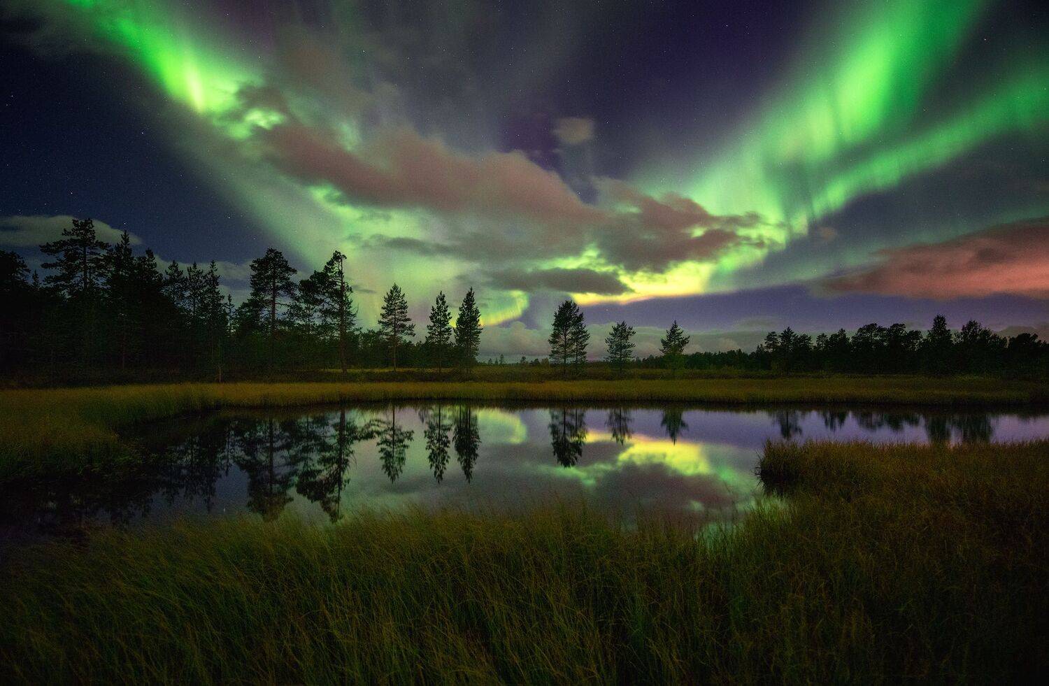 , Виталий Истомин