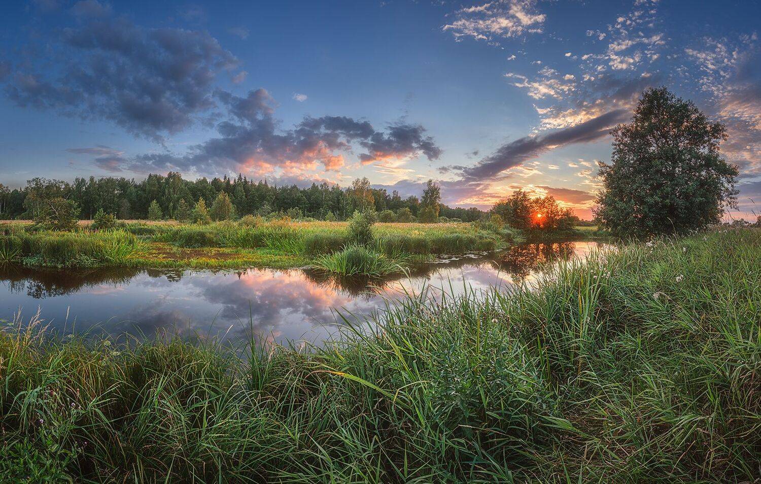 , Николай Андреев