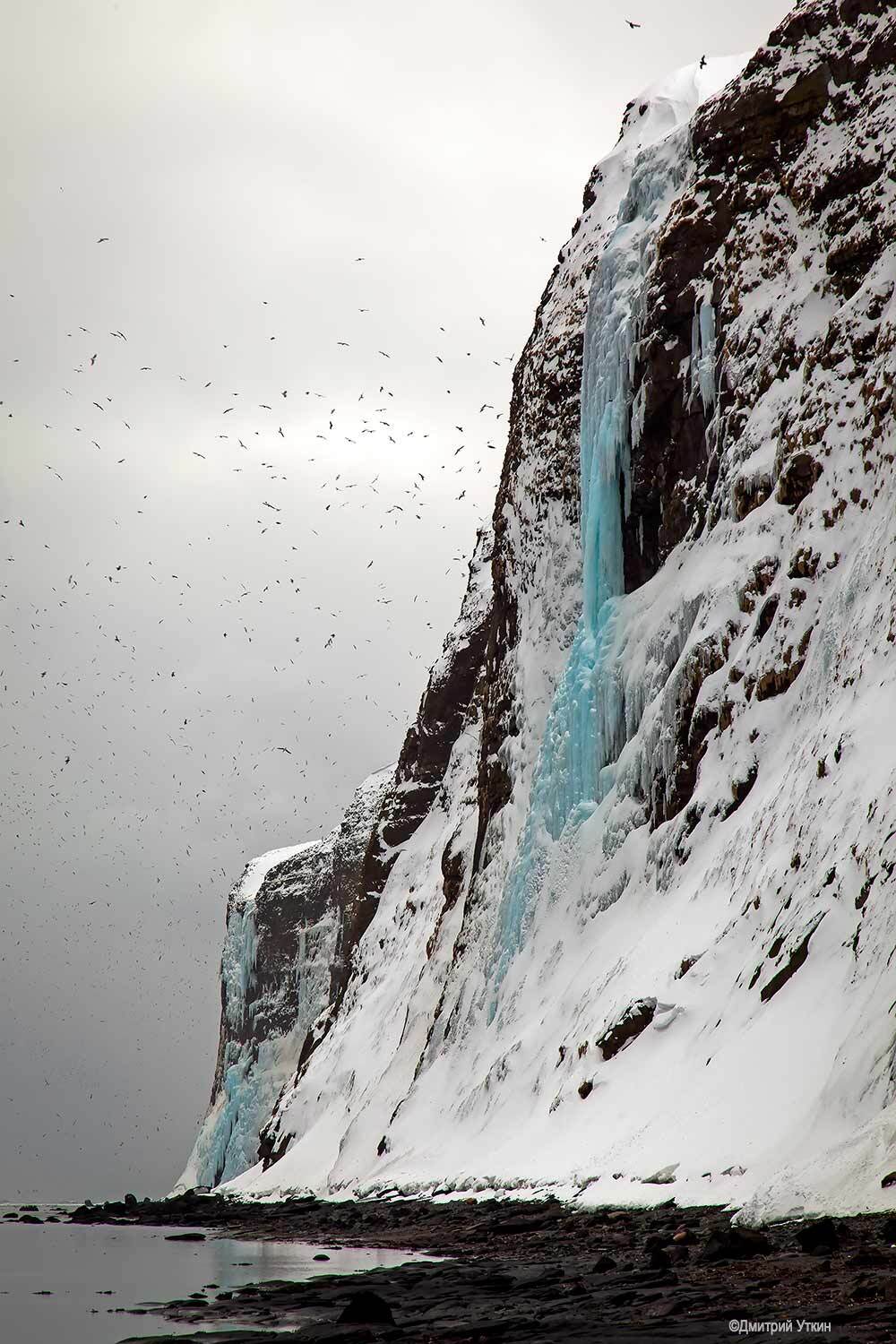 , Дмитрий Уткин