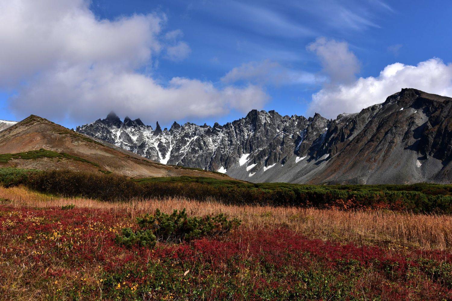 , Александр Мухин