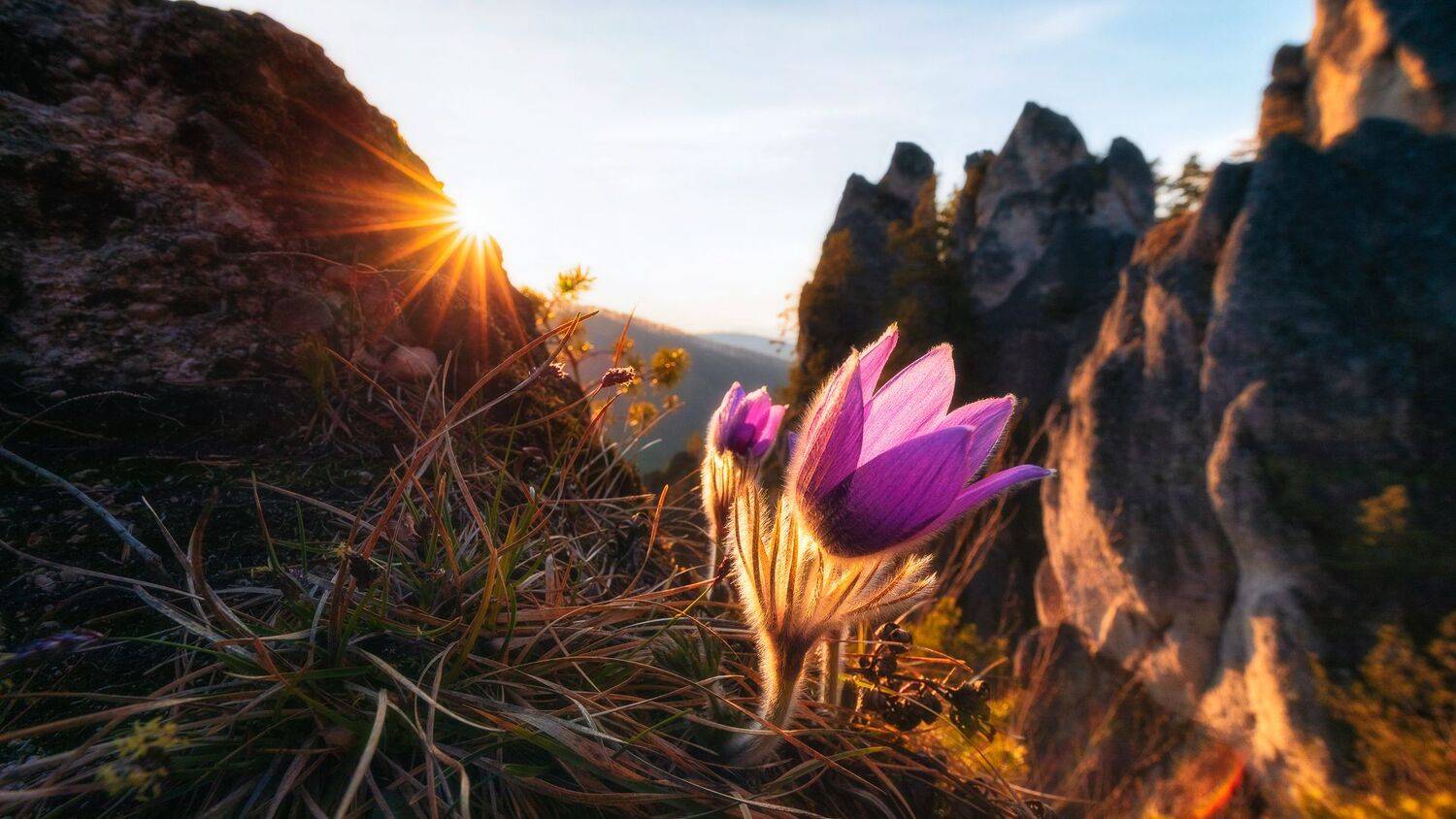 , Konf&aacute;l Miroslav