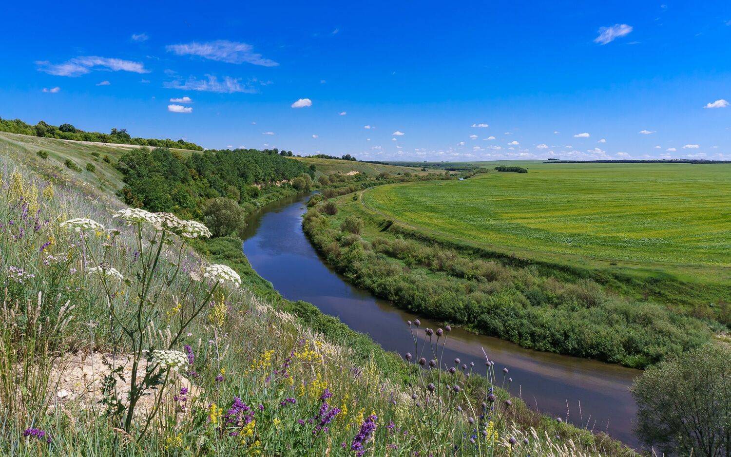 лето, река олым,, Николай Бологов