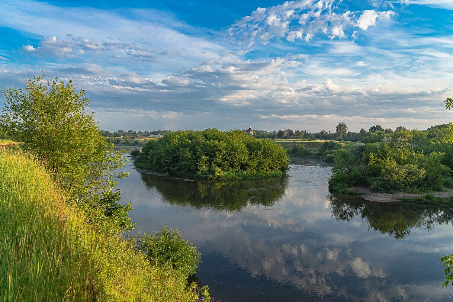 река быстрая сосна, утро, лето,, Николай Бологов