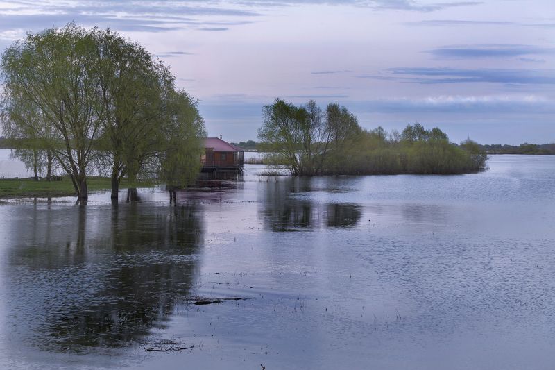 половодье фото превью