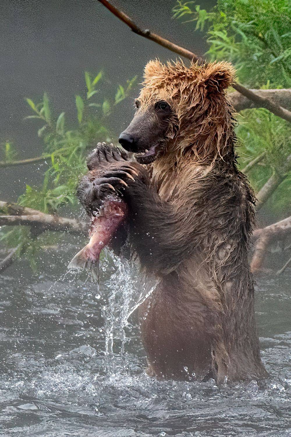, Юрий Гордонов