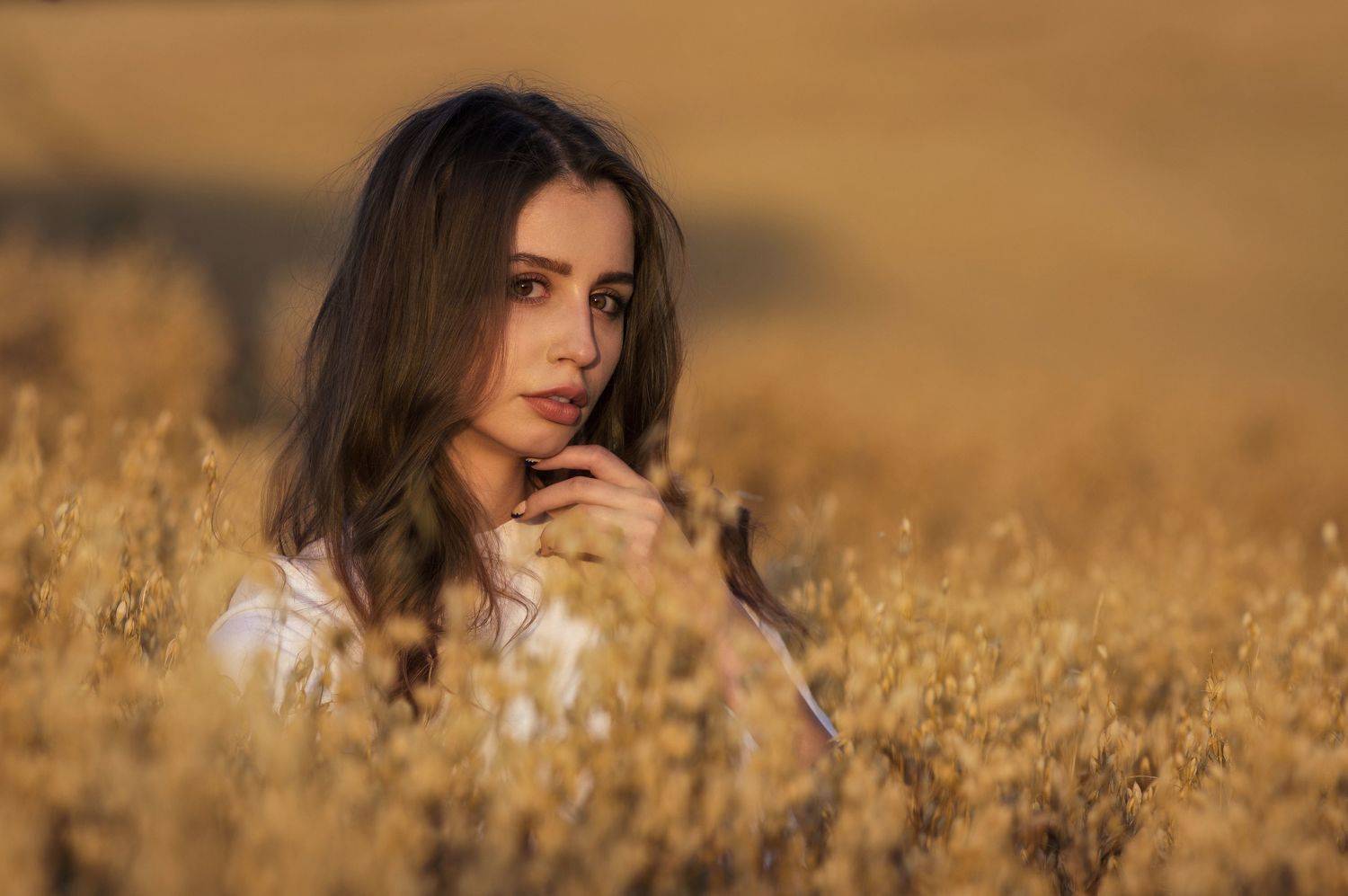 , Maciej Werbliński