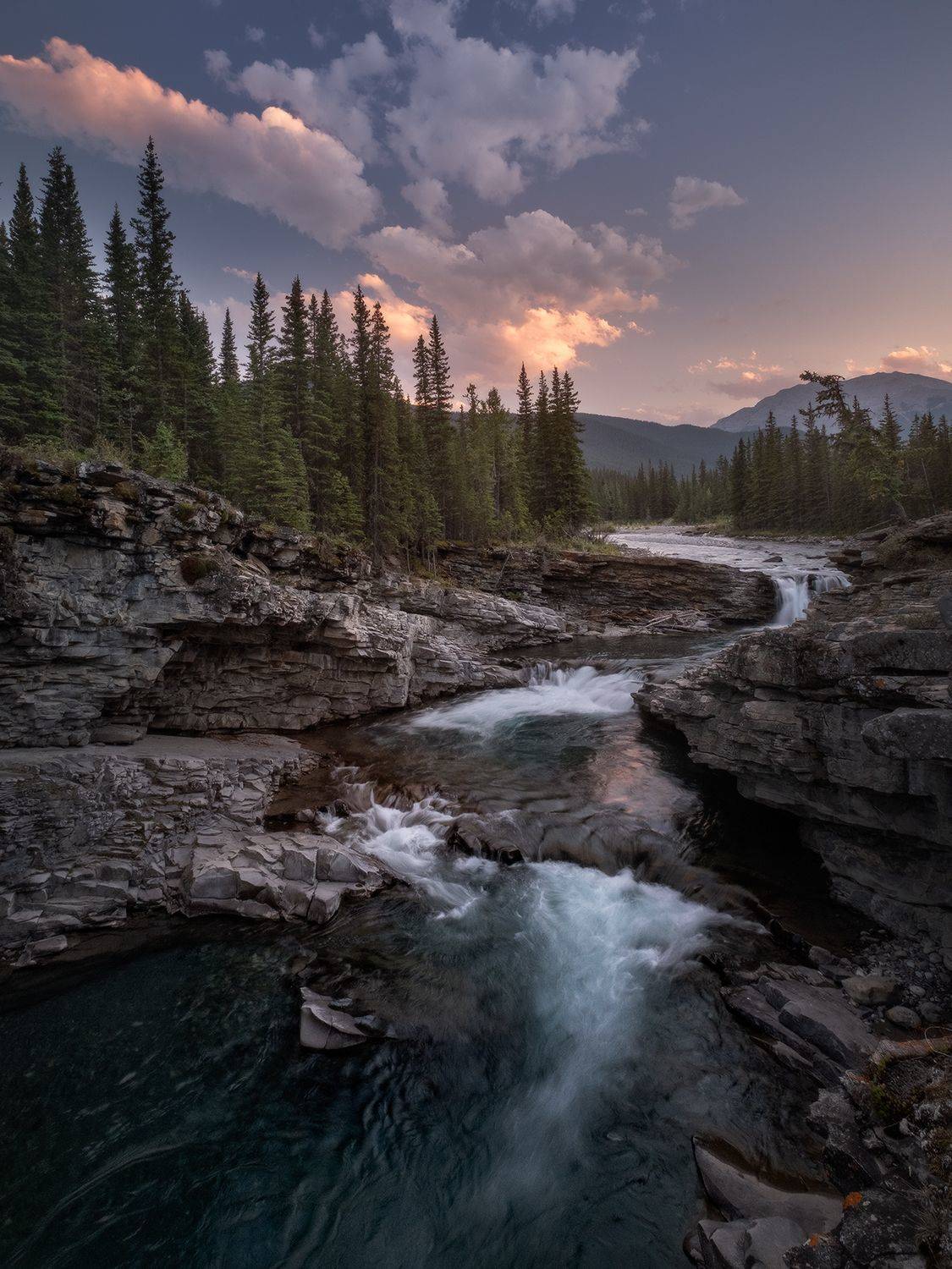 sheep, river, rapids, Evgeny Chertov