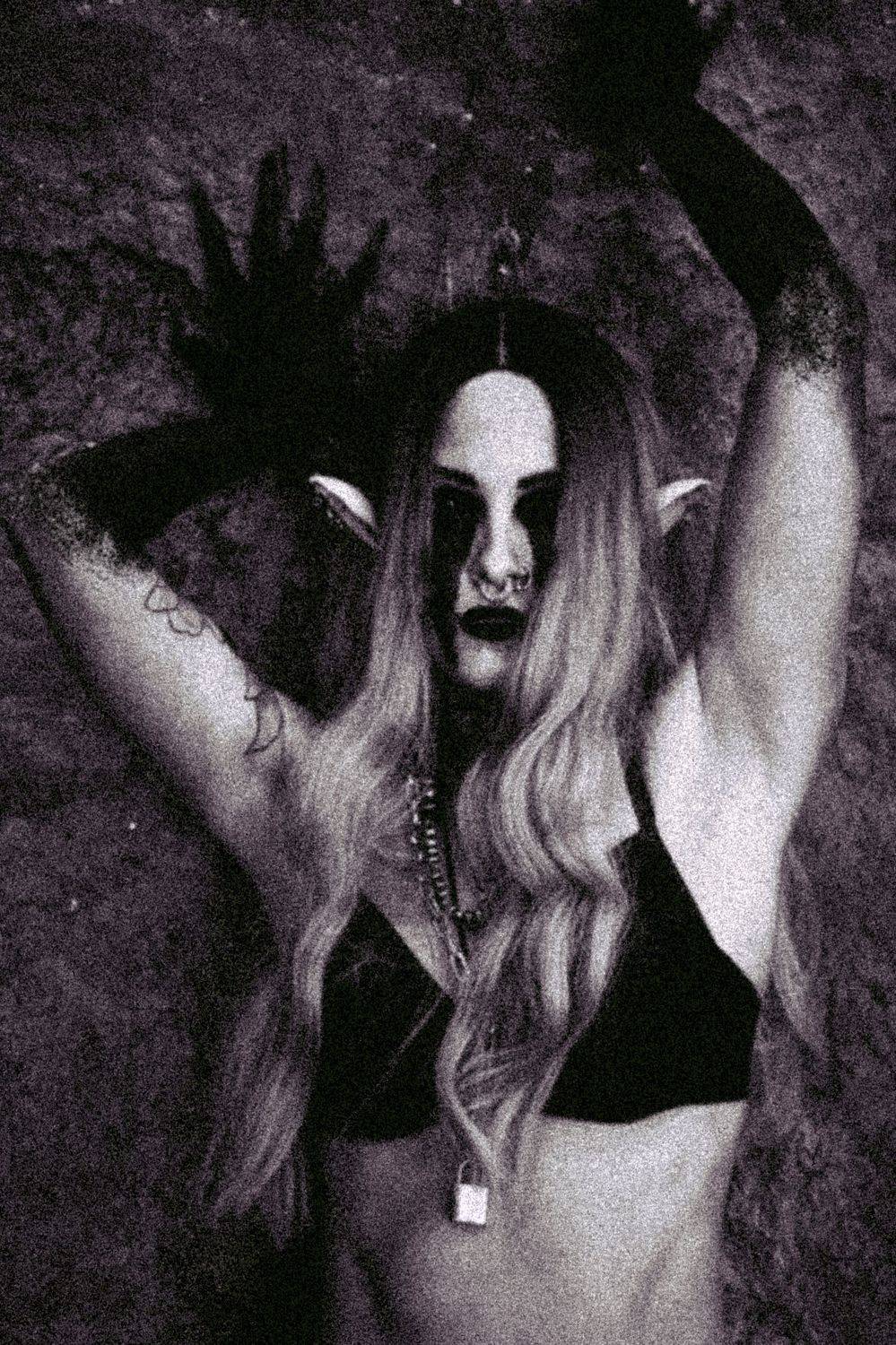 , Дмитрий Стадницкий