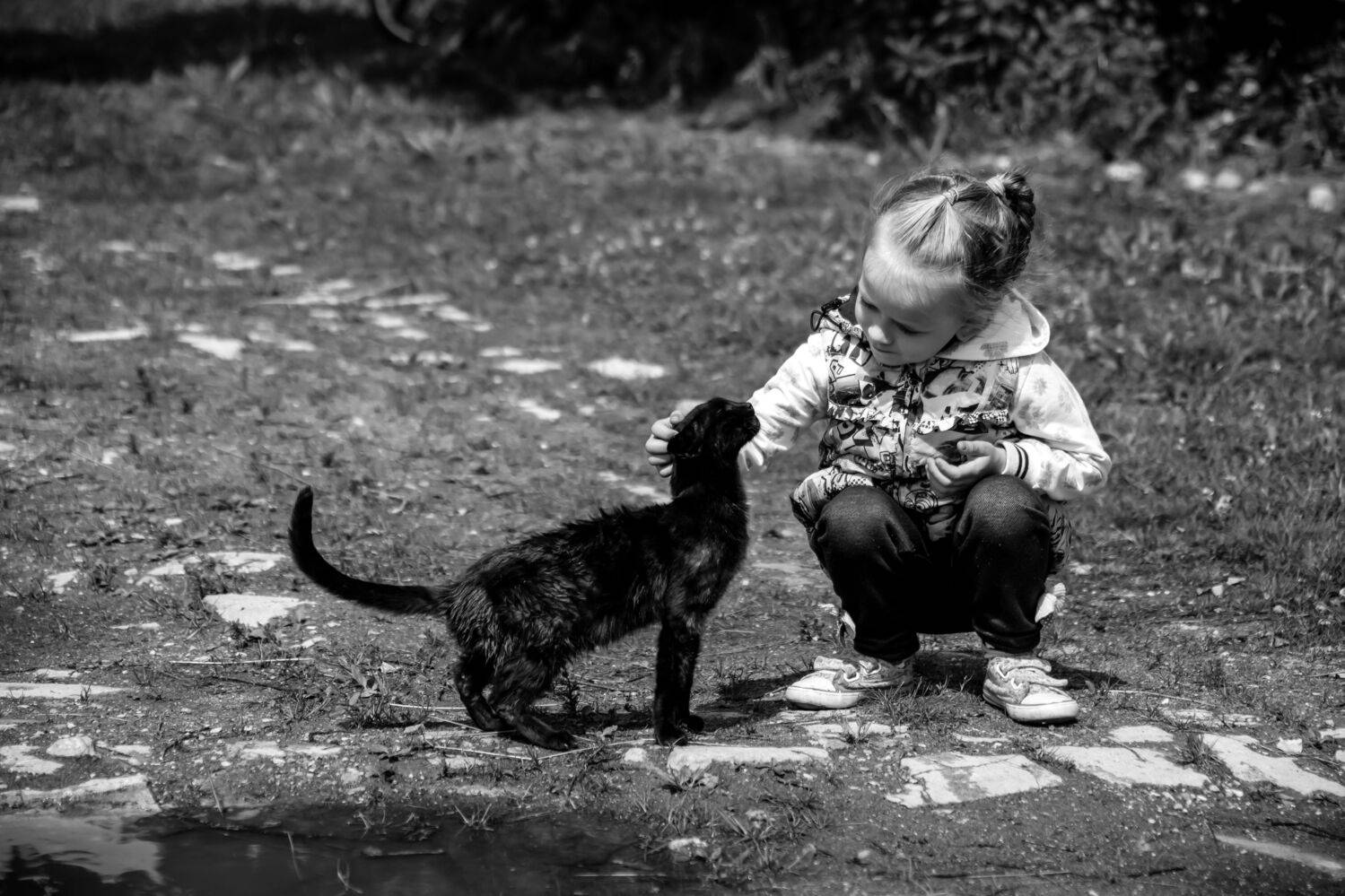 , Alexander Shilov