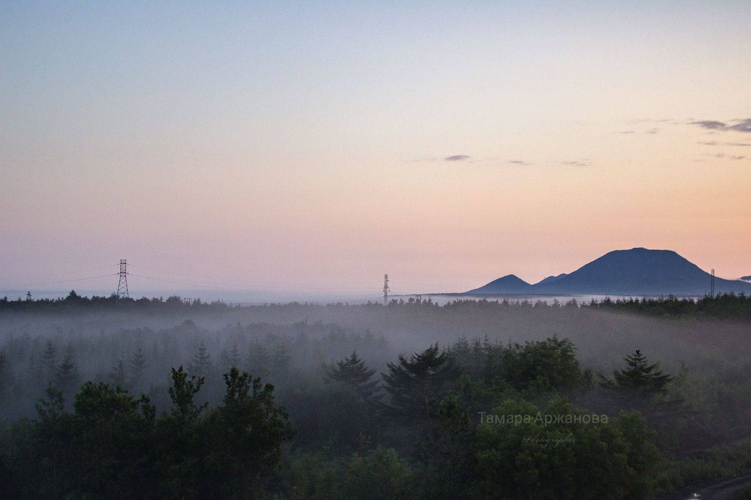 , Тамара Аржанова