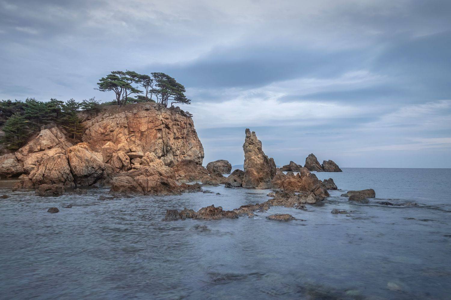 , Елена Маковоз