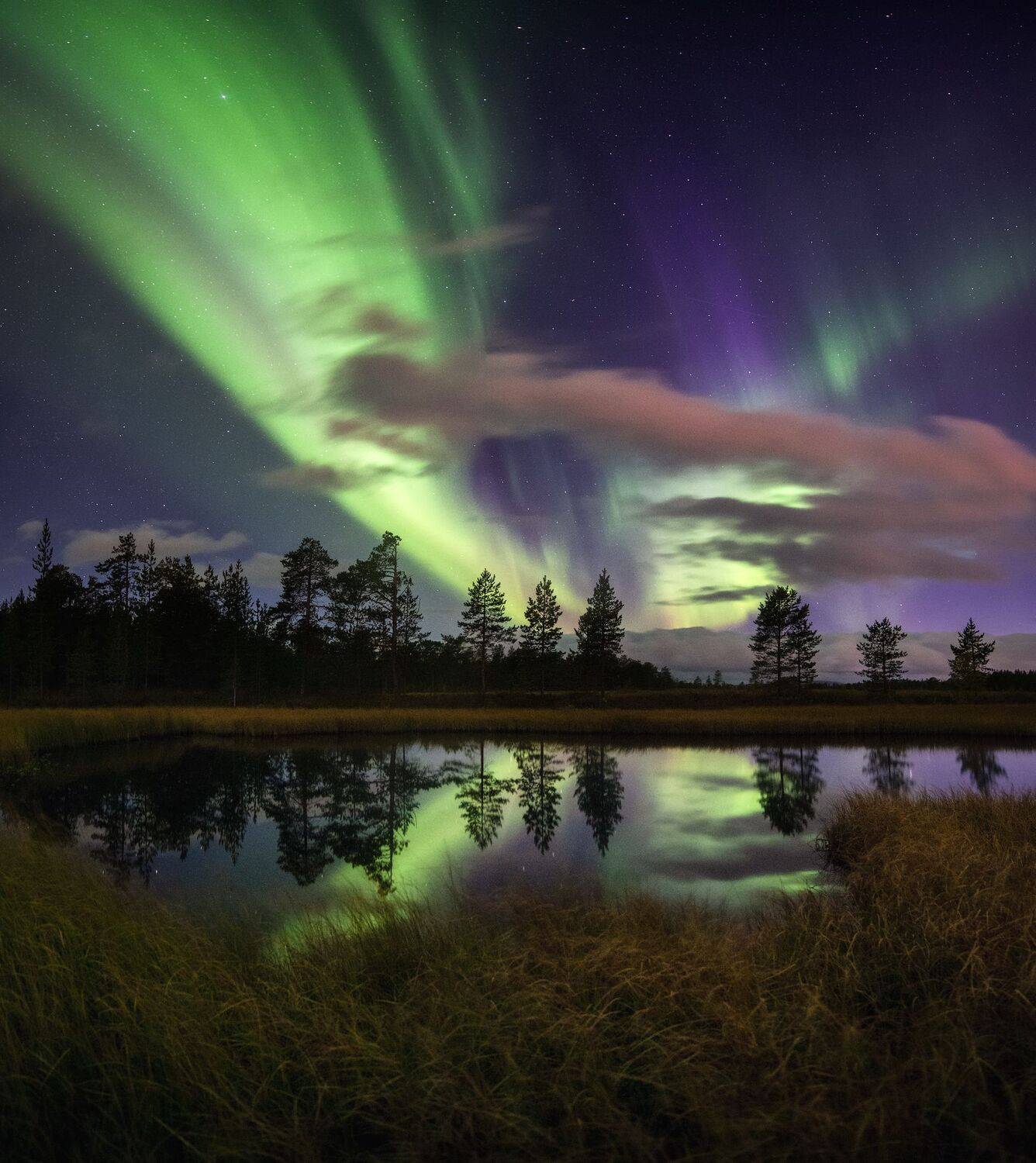 сияние,пейзаж,россия,хибины,кольский,север, Виталий Истомин