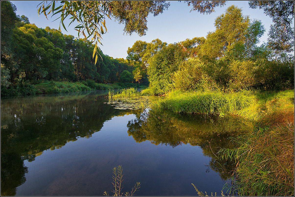 калужская обл. р. протва, утро, АНАТОЛИЙ ДОВЫДЕНКО