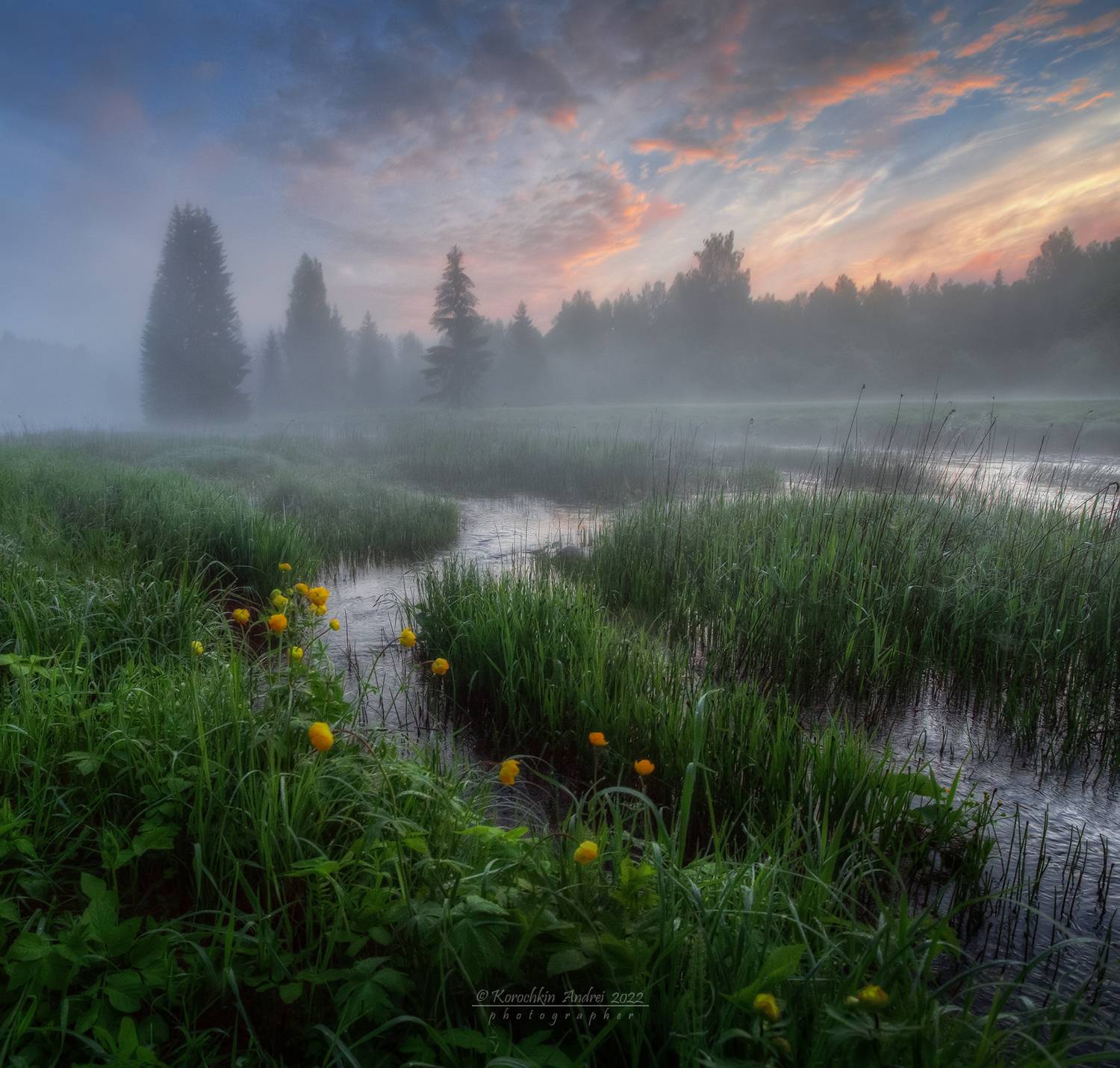 , Андрей Корочкин