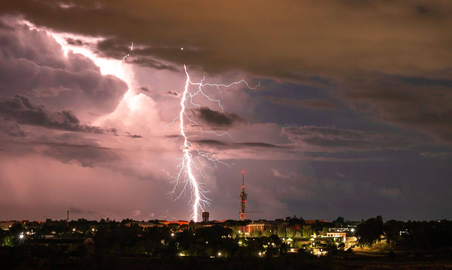 , Максимова Дария