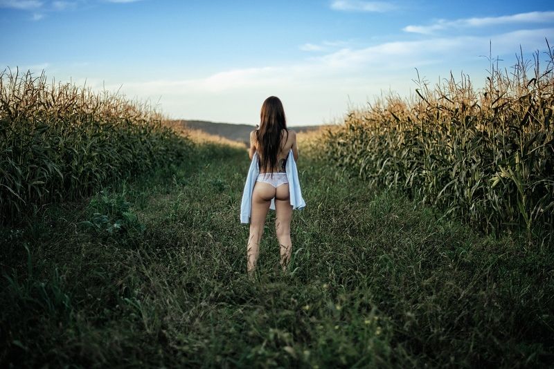 женщина, девушка, ню, поле, небо, рубаха, бельё, тату, солнце, закат  фото превью