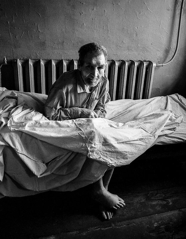 В приюте фото превью