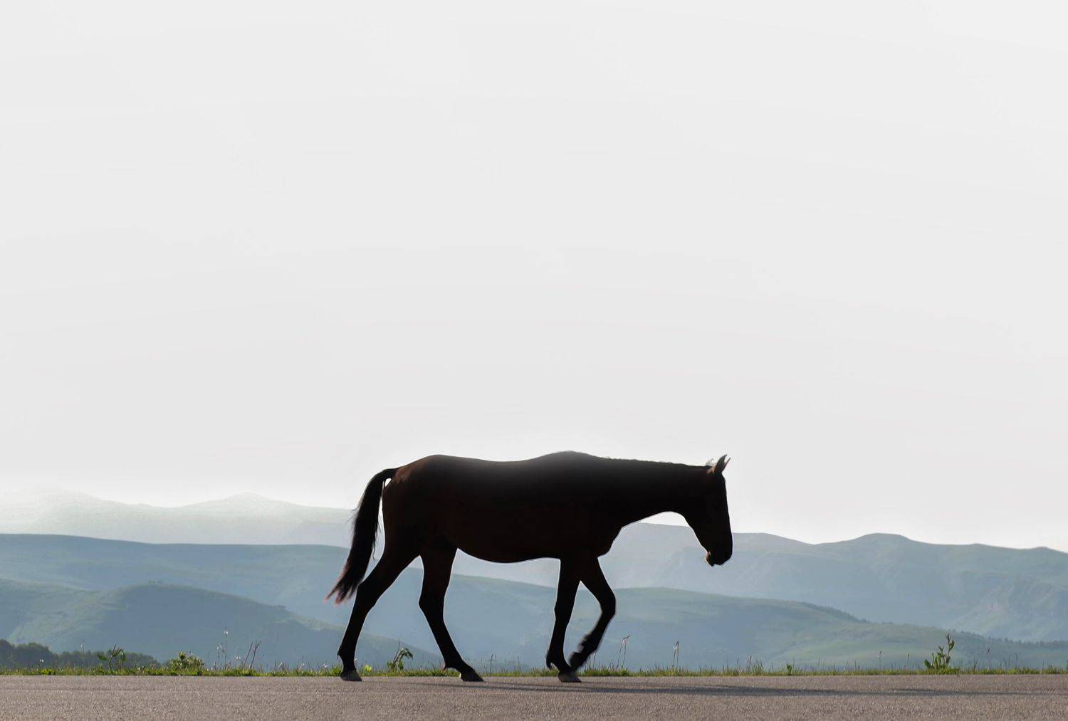 , Ольга Беккер