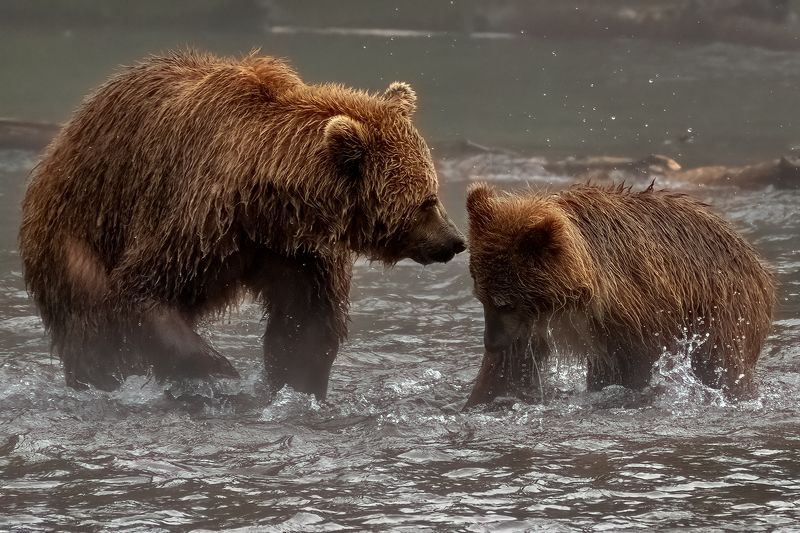Опять двойка фото превью