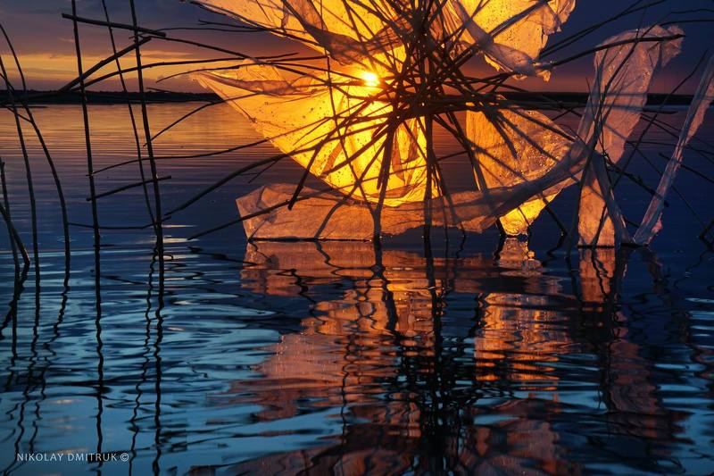 пейзаж 	 декоратор острова. авторская инсталляция. фото превью