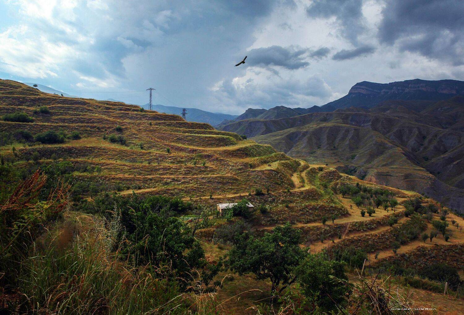 горы,пейзаж,террасы,дагестан,дахадаевский район,, Magov Marat