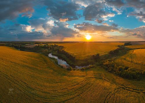 Золотые поля