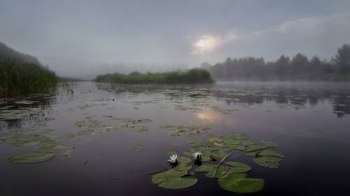 Утро на Нерли