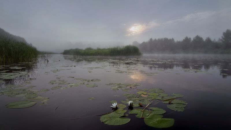 Утро на Нерли фото превью