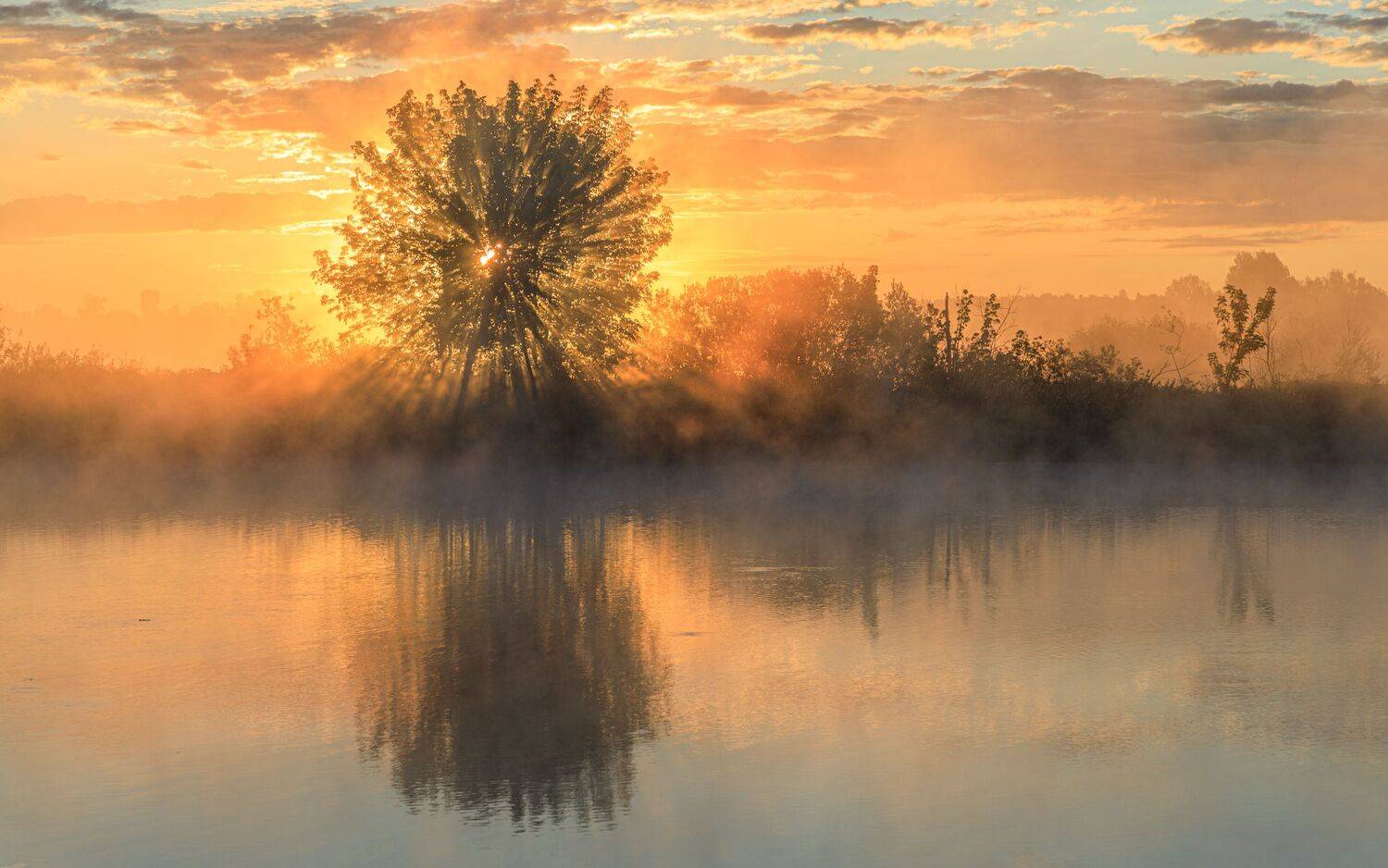 , Евгений Патрешов