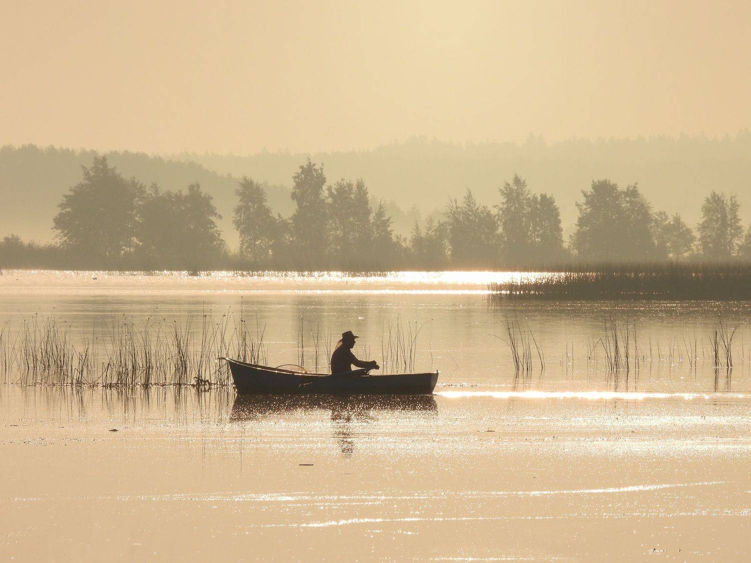 , Лесина Елена