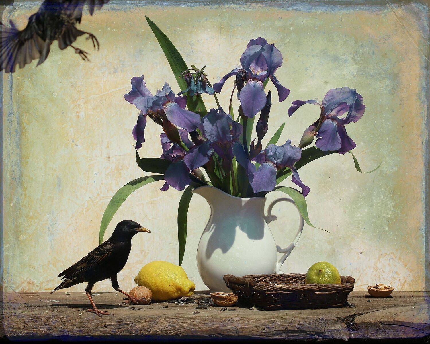 sturnus vulgaris, Хромушин Олег