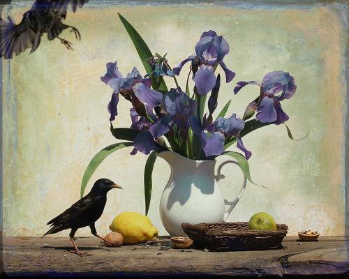 Натюрморт с белым кувшином