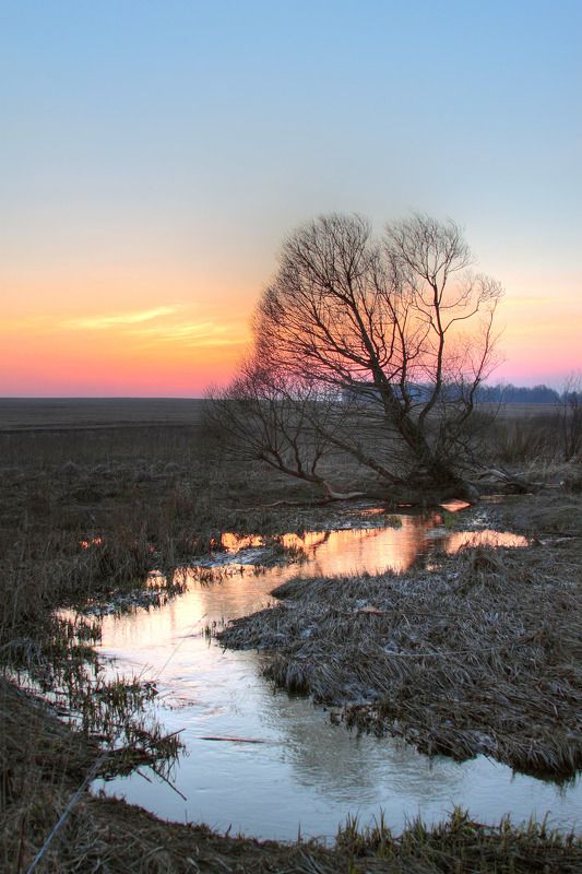Начало весны фото превью