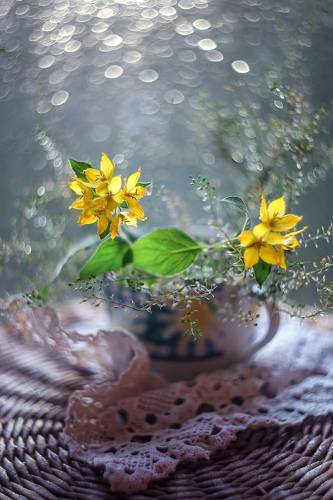 Bonjour!)
