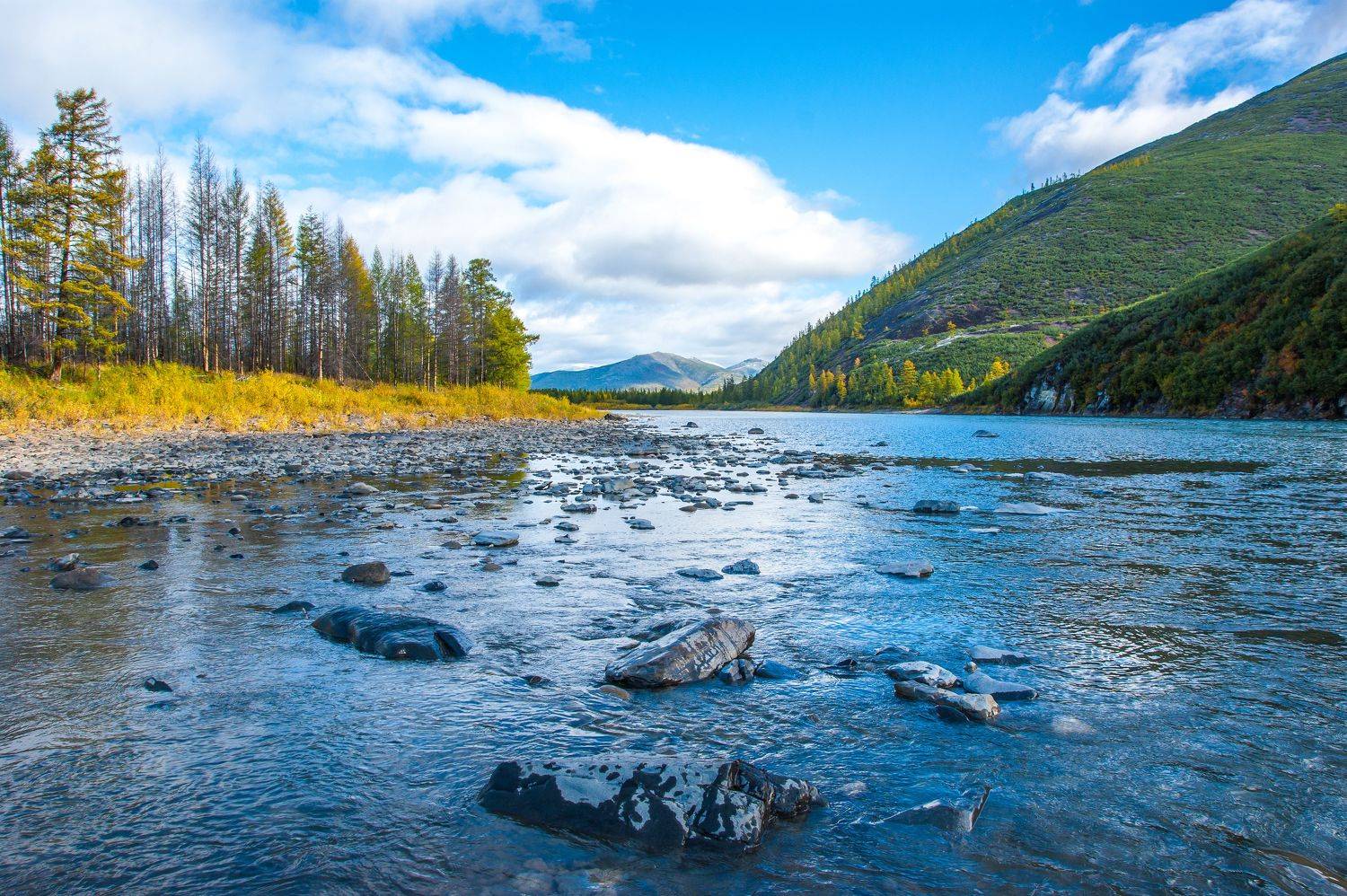 , Андрей Загребельный
