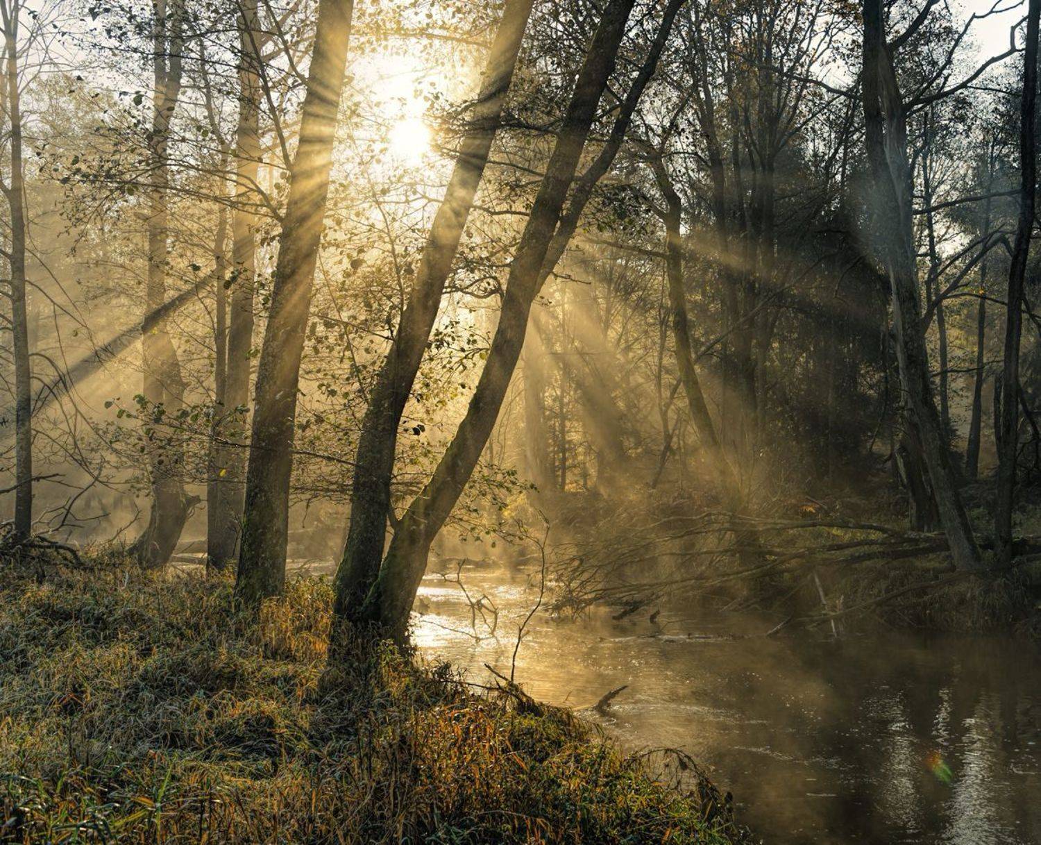 , Sławek Przybylski