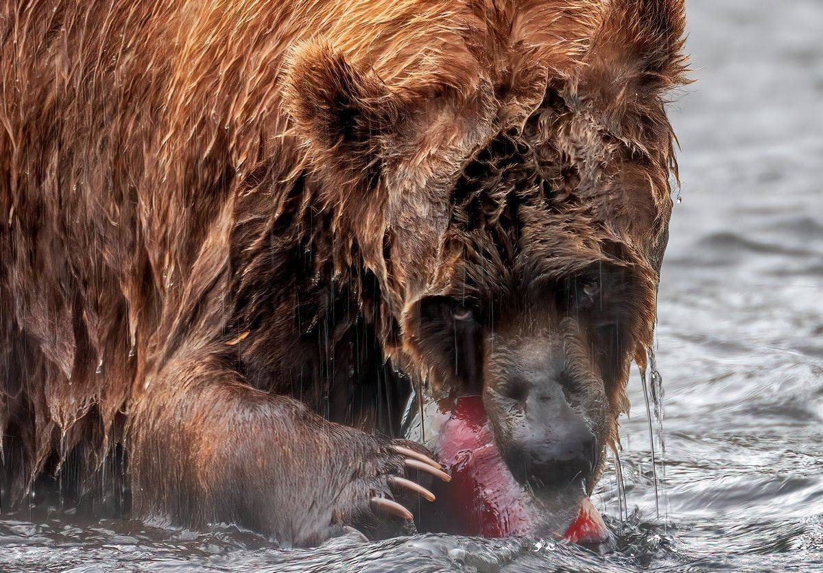 , Юрий Гордонов