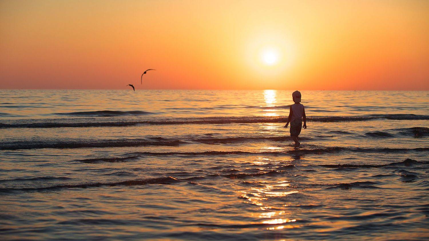 , Фотов Ренат