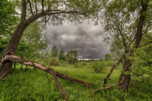 Будет дождь