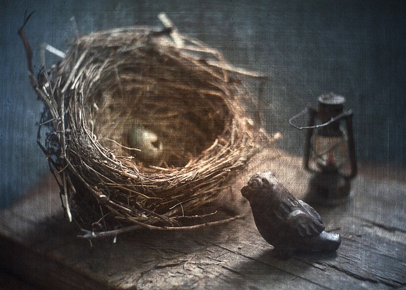 *** фото превью