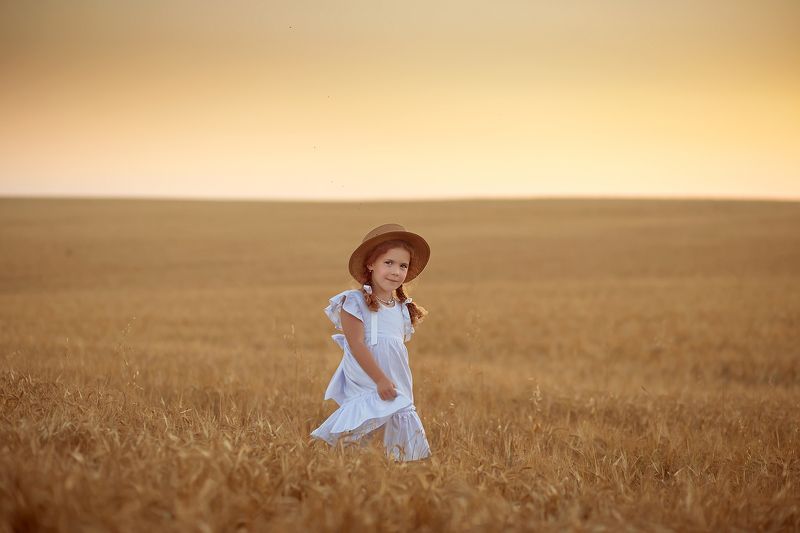 Золотое поле фото превью