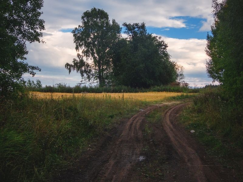 Ранняя осень в полях фото превью