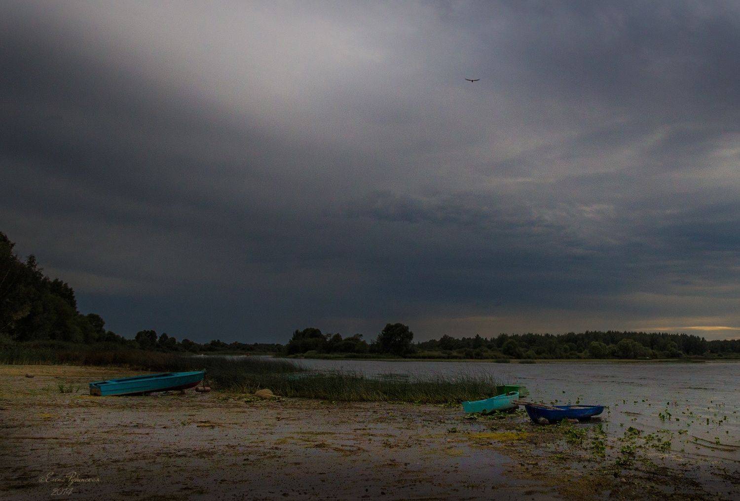 , Елена Рубинская