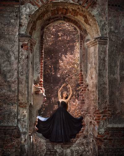 Черный лебедь